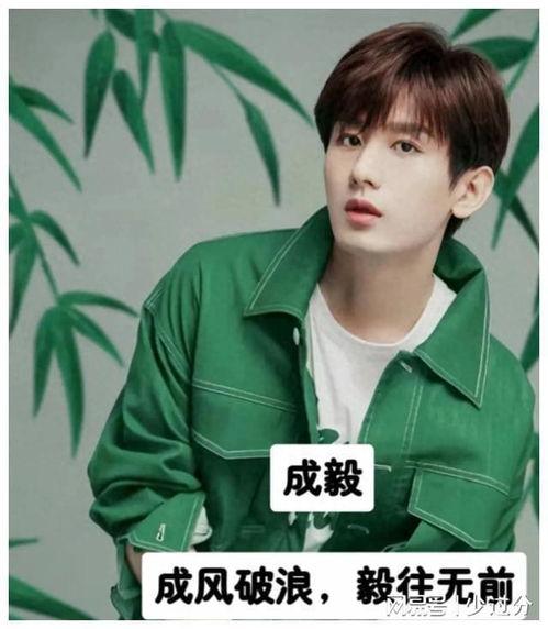 明星粉丝应援口号,明星应援口号背后的力量