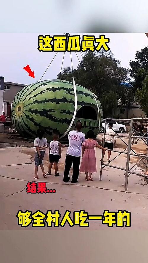 人类在线吃瓜视频,揭秘人类在线吃瓜视频背后的趣味与现象