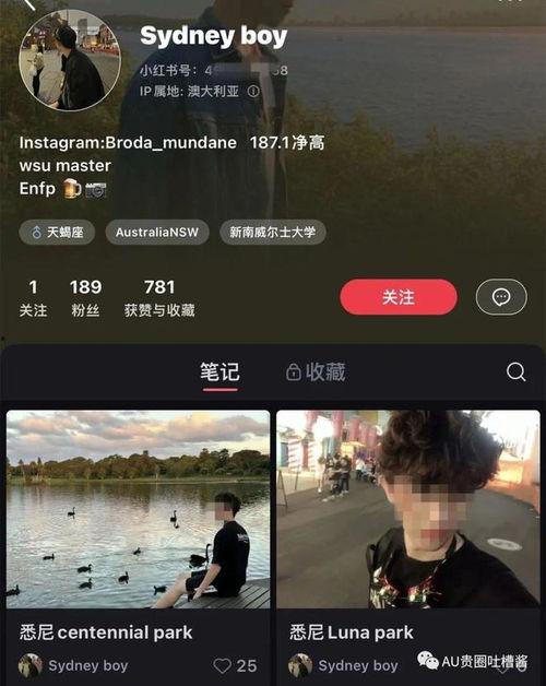 美国留学圈吃瓜pdf,从“吃瓜PDF”看留学生活众生相