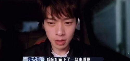 男艺人发疯爆料事件视频,揭秘娱乐圈背后真相