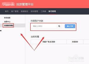 头条账号关联通讯录,轻松拓展人脉圈