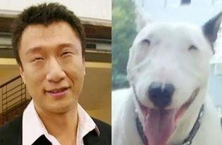 张笑天明星,星光璀璨的影视新星，演绎人生百态