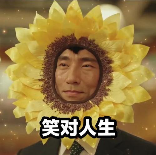 msk 明星,揭秘明星背后的故事与辉煌成就