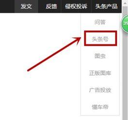 头条怎么加视频的水印,头条视频水印添加教程，让你的作品更具个性