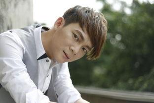 六哲几线明星,揭秘娱乐圈的璀璨星途与几线明星的华丽蜕变