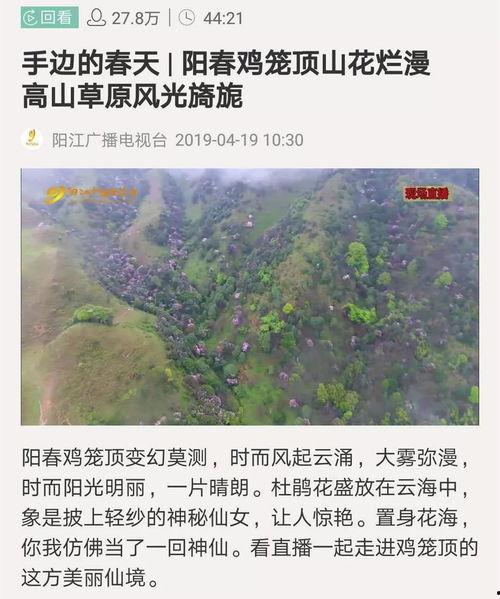 广东云浮楠溪新闻头条,聚焦楠溪新区发展动态与成就