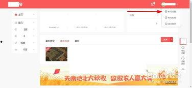 咋查看头条号账号,如何轻松查看与优化