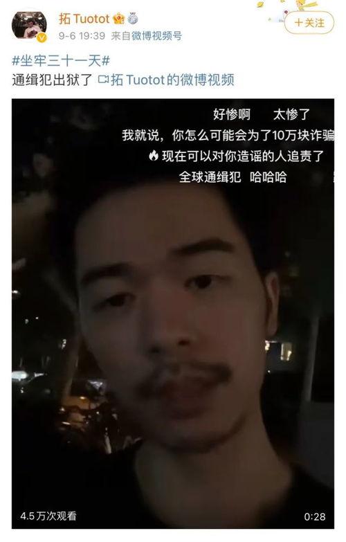 坐牢的网红,揭秘网络红人背后的法律与人生