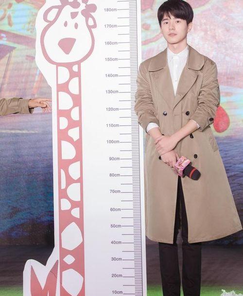 明星180身高,身材高挑，魅力无限