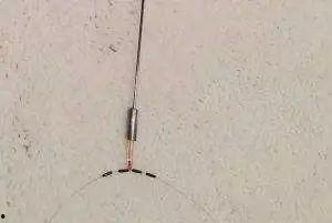 怎么看窝料还有没有