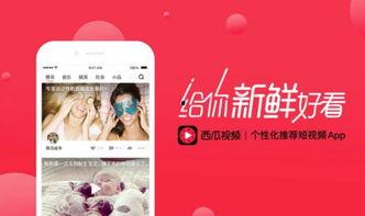 西瓜视频咋才能上头条,掌握这些技巧，让你的视频脱颖而出！