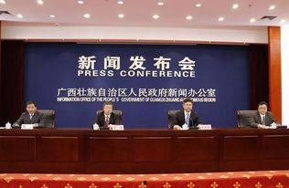 东盟头条广西公司,助力区域经济合作新篇章