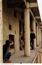 石家庄摄影拍照花絮网红,摄影花絮中的光影魅力