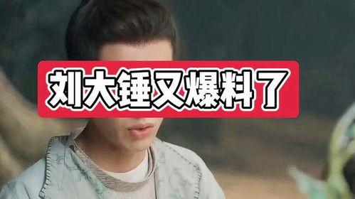 刘大锤最新爆料是什么,揭秘娱乐圈惊人内幕