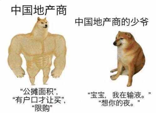 吃瓜看鸡飞狗跳,吃瓜群众视角下的鸡飞狗跳生活百态