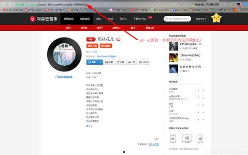 头条上怎么设置音乐播放,轻松享受个性化音乐体验