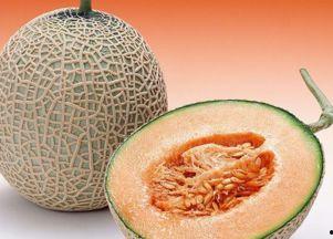 赛娜吃哈密瓜,甜蜜时光的美好回忆