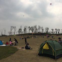 狮子湖网红地方有哪些,热门景点大盘点