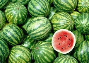 吃了小瓜吃大瓜,美食之旅的奇妙转变