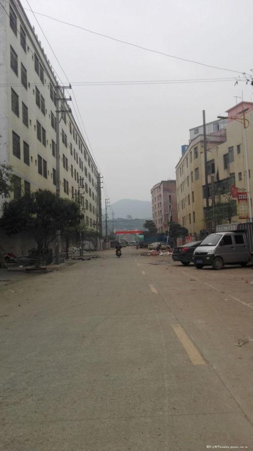 广西灵山太平县新闻头条,重大事件引发社会关注