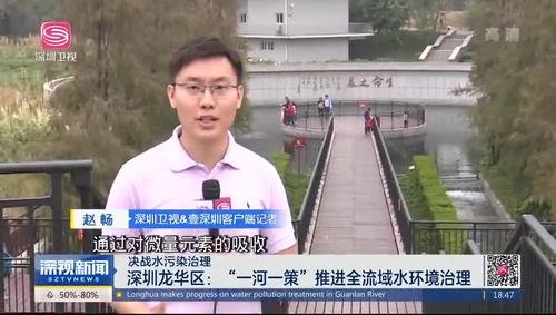 龙华大浪爆料最新消息新闻,聚焦社区动态与民生热点