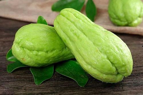 蝈蝈吃佛手瓜好吗,蝈蝈食用佛手瓜的适宜性探讨