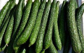 吃胶瓜能减肥吗,揭秘天然胶瓜的瘦身奥秘”